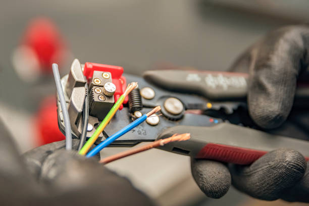 Best Electric Panel Repair  in Whiteville, TN