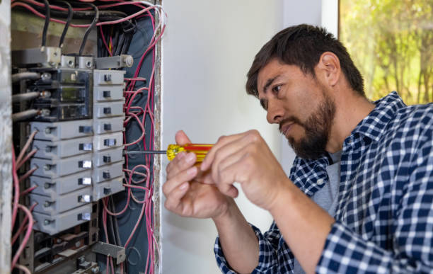 Best 24-Hour Electrician  in Whiteville, TN